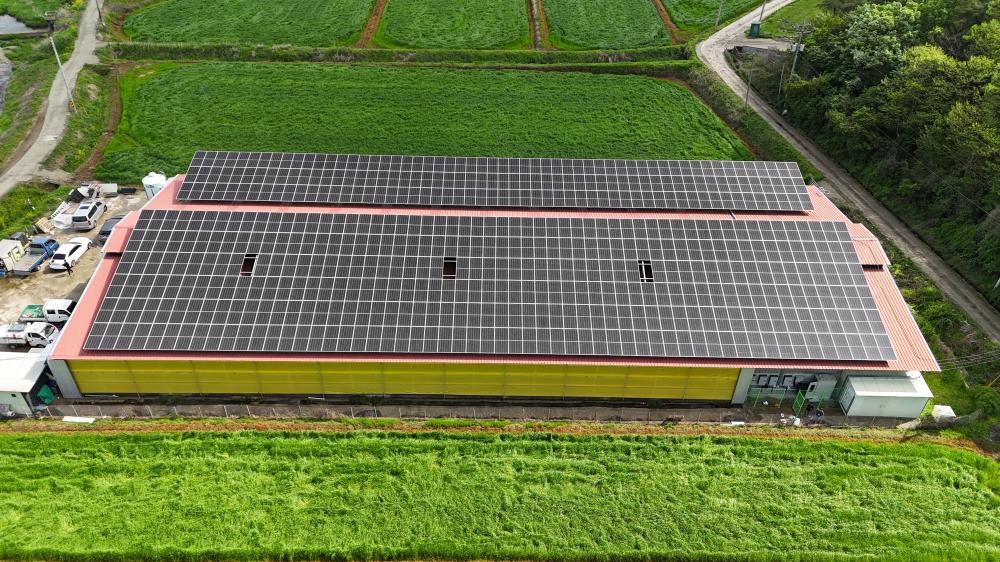 [313.125kW] ¾籤