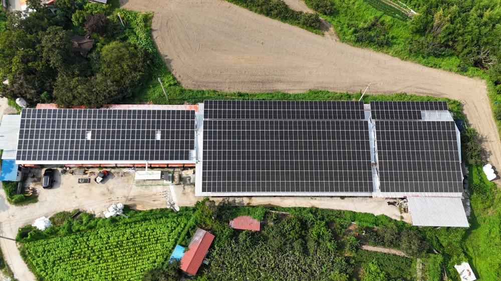õȣ[299.88kW], õȣ1ȣ[99.54kW] ¾籤