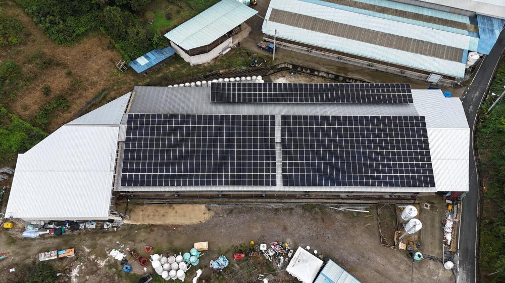 [99.06kW], ¶[99.06kW], ¾2[49.53kW] ¾籤